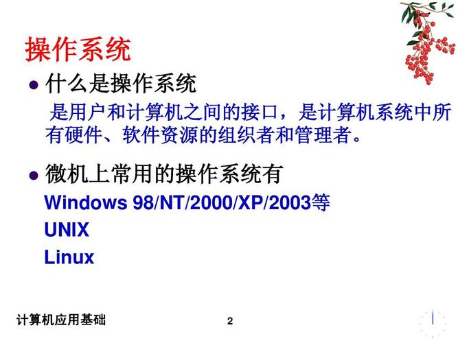 计算机应用基础